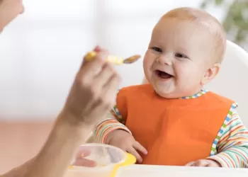 6 – 9 Ay Bebek Beslenme Tablosu