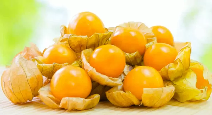 Altın Çilek Faydaları