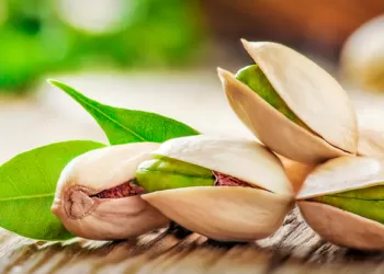 Antep Fıstığının Faydaları