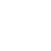 Dt Aysenur Servet 2