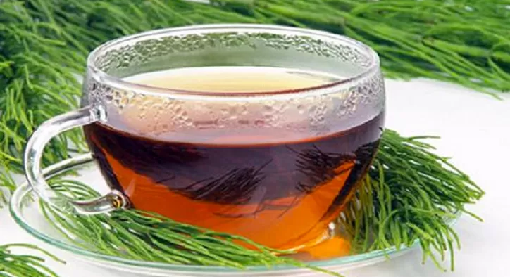 Ödem Attırıcı At Kuyruğu Otu