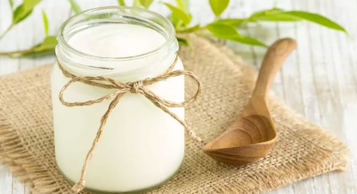 Probiyotik Yoğurt Tarifi