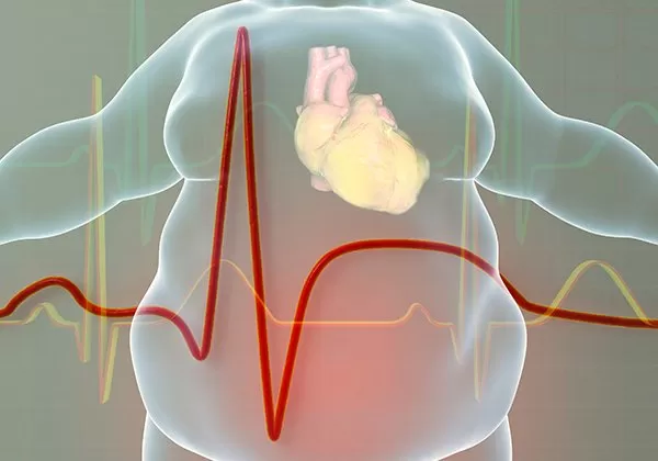 Beslenme Danismani Ucretleri