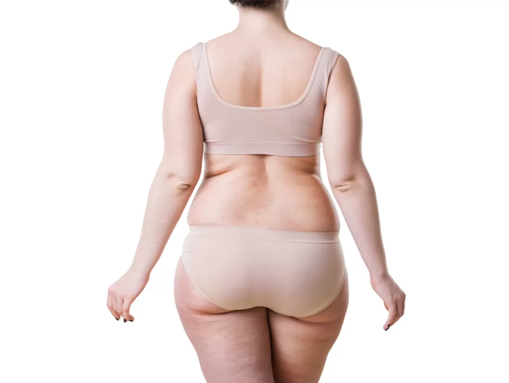 online diyet öncesi